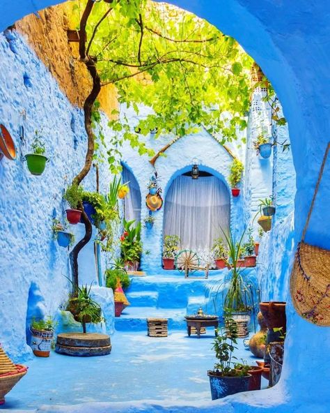 Ruta personalizada por a chefchaouen