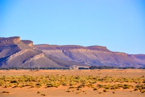 Atardecer en el palmeral del Valle del Draa camino al desierto de Zagora