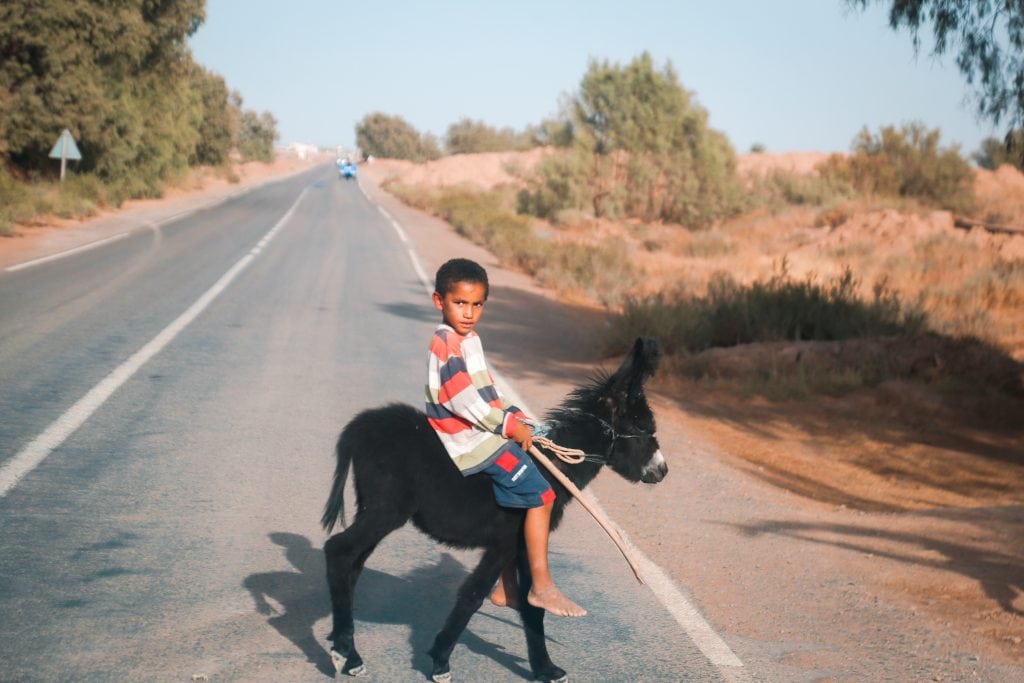 tours marruecos - conocimiento local real